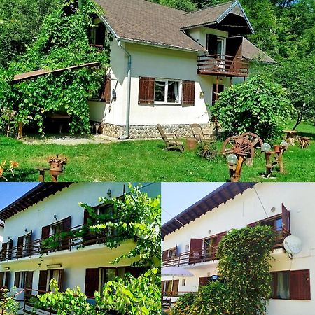 Complex Adela Transfagarasan Villa Cârțișoara Exterior photo