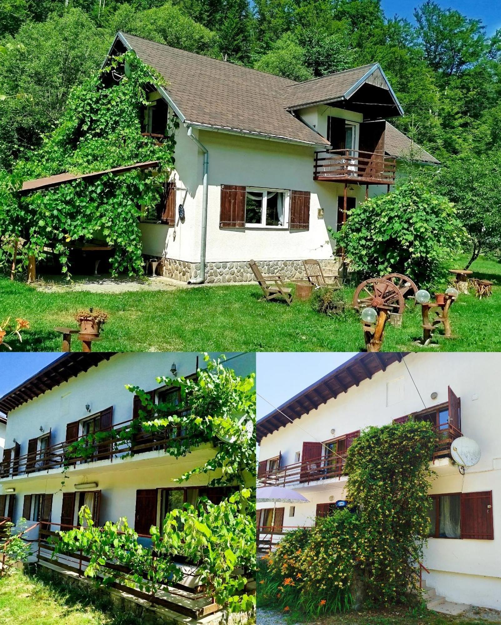 Complex Adela Transfagarasan Villa Cârțișoara Exterior photo