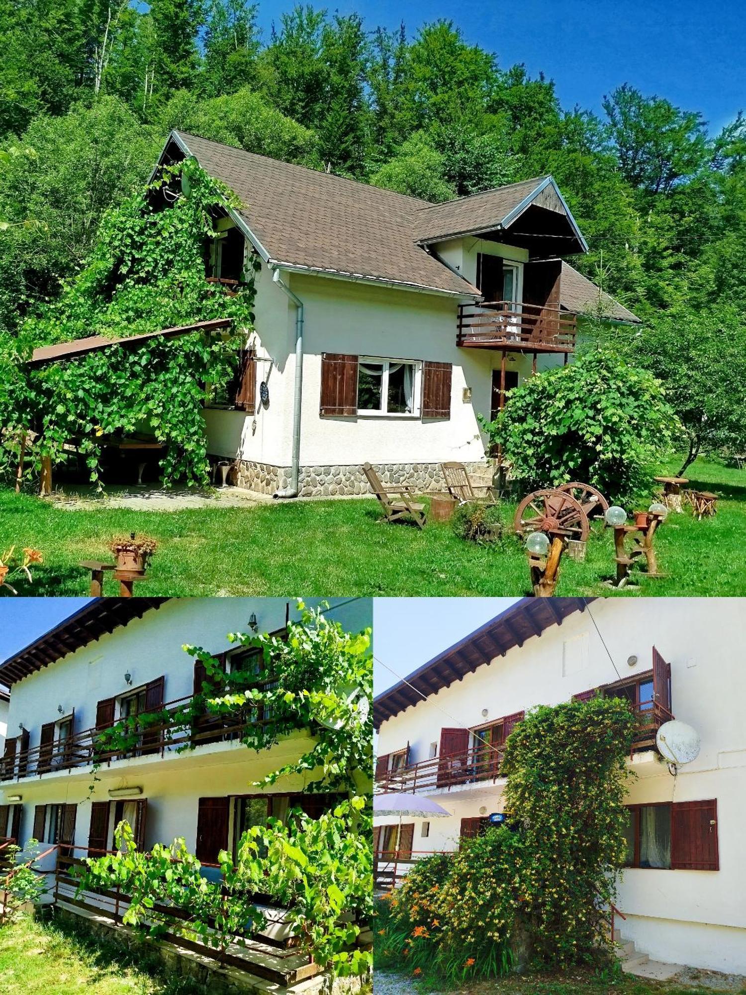 Complex Adela Transfagarasan Villa Cârțișoara Exterior photo