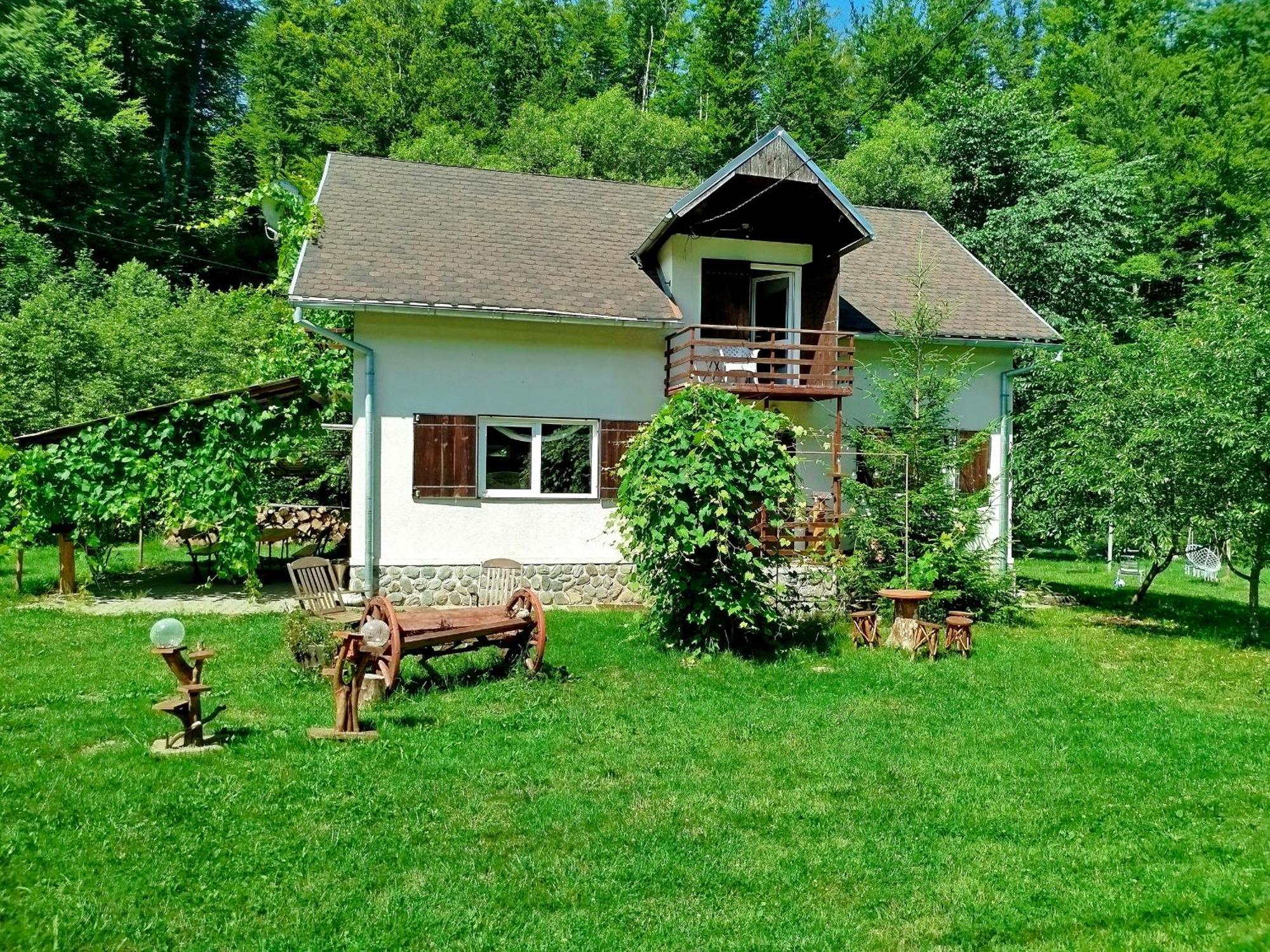 Complex Adela Transfagarasan Villa Cârțișoara Exterior photo