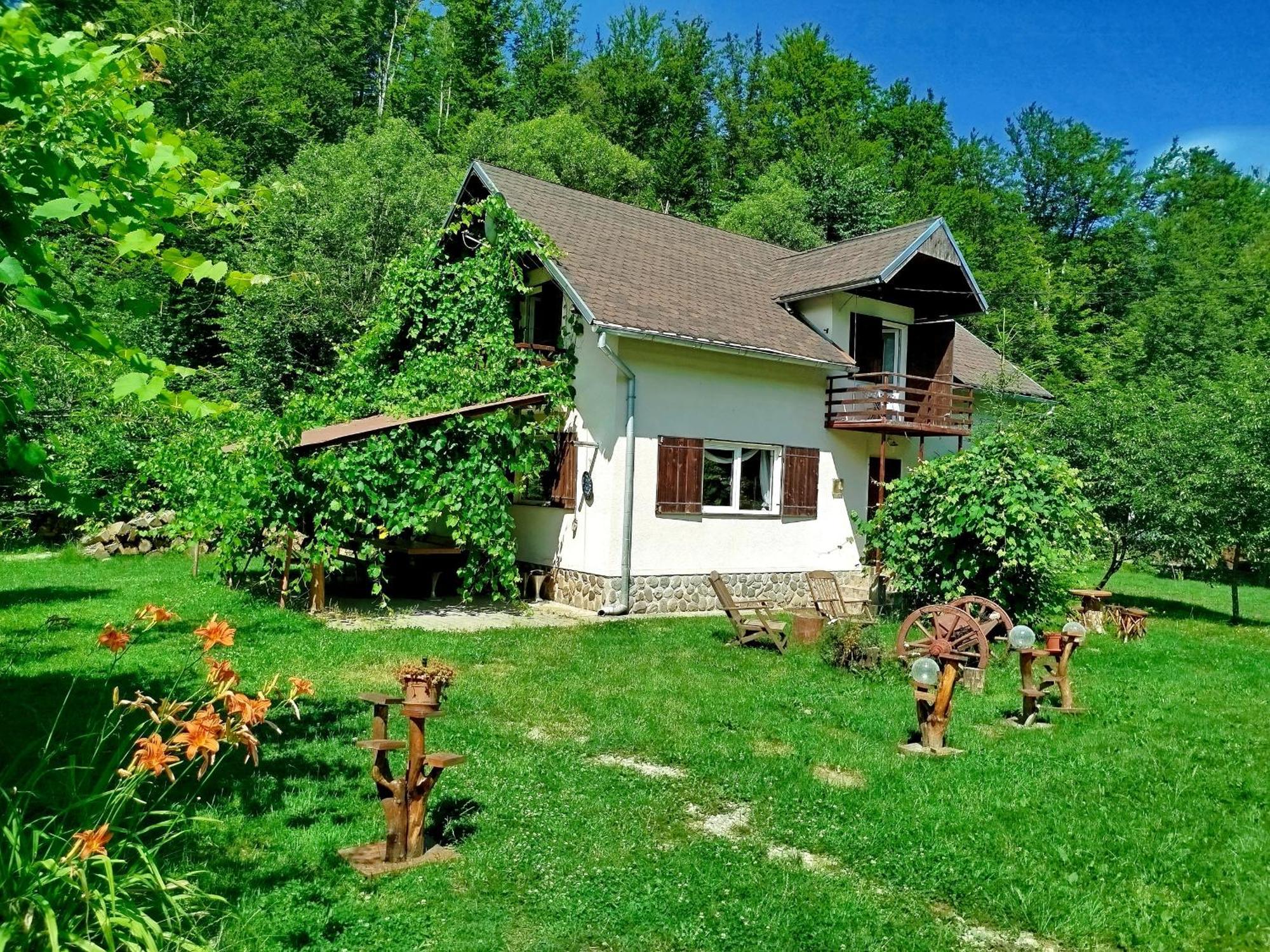 Complex Adela Transfagarasan Villa Cârțișoara Exterior photo