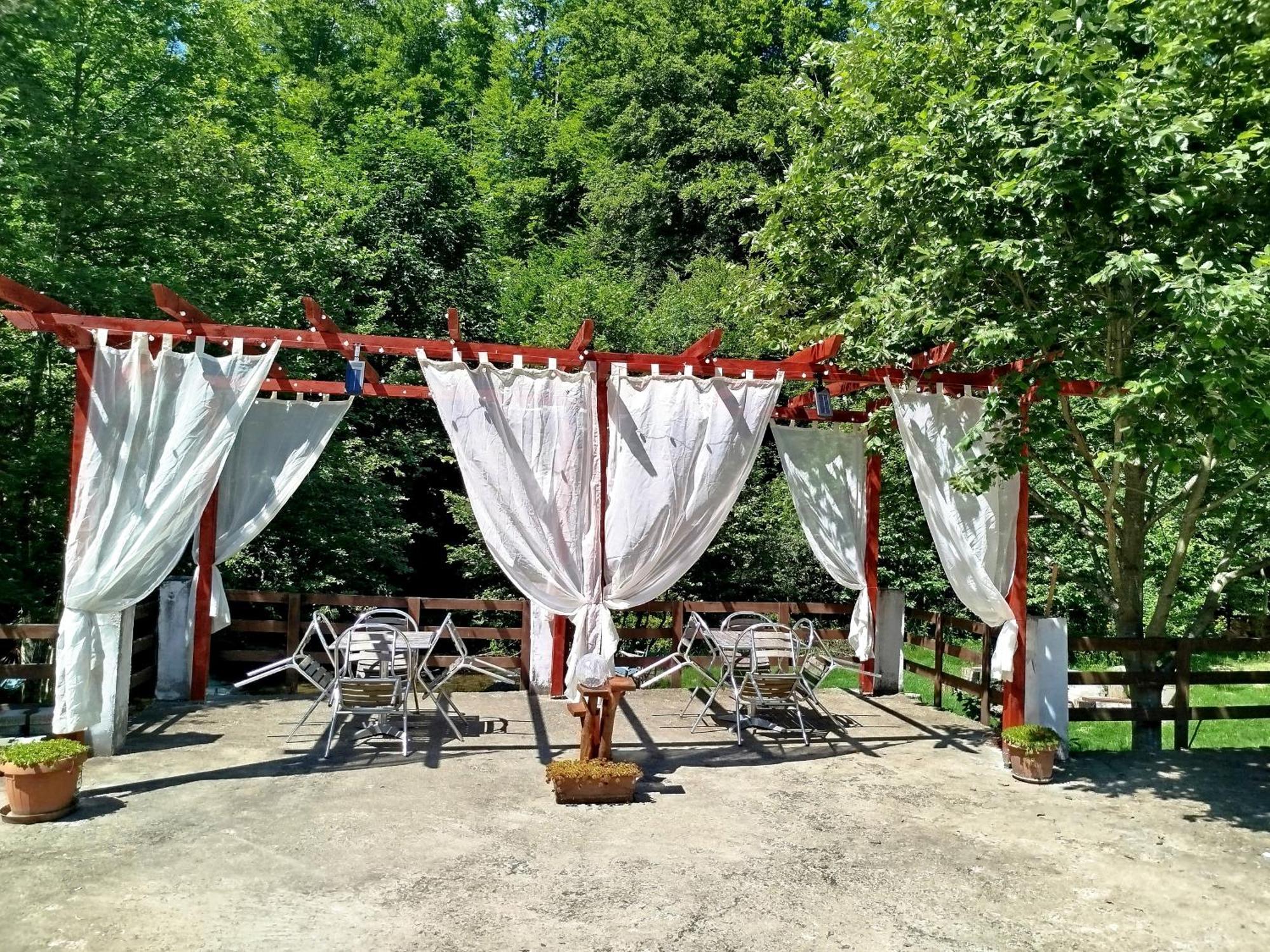 Complex Adela Transfagarasan Villa Cârțișoara Exterior photo
