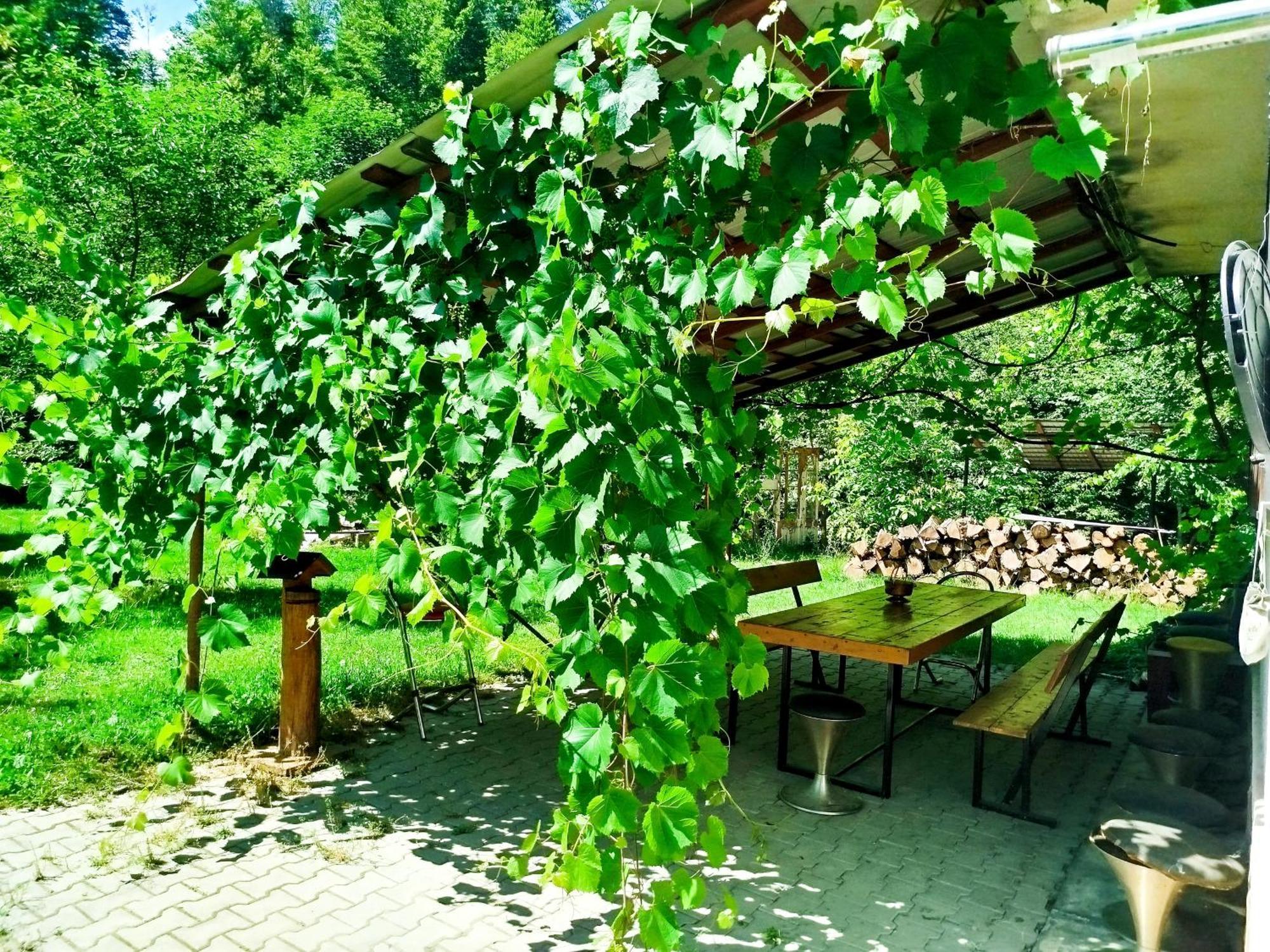 Complex Adela Transfagarasan Villa Cârțișoara Exterior photo
