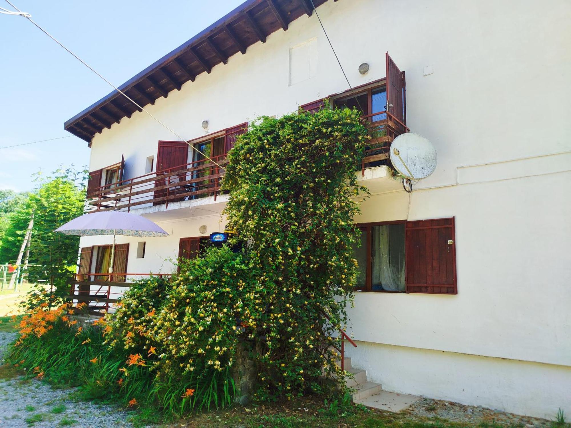 Complex Adela Transfagarasan Villa Cârțișoara Exterior photo