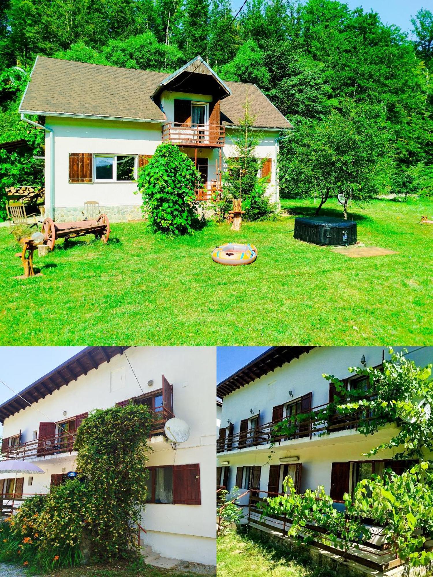 Complex Adela Transfagarasan Villa Cârțișoara Exterior photo